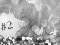 Gavin Schneider Productions