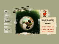 Consumer Insight Agency